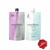 SHISEIDO Crystallizing Straightening Hair Cream system H1/H2